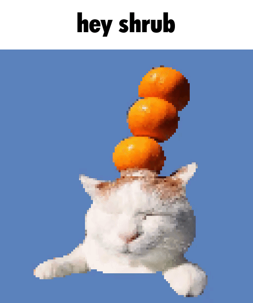 hey shrub image